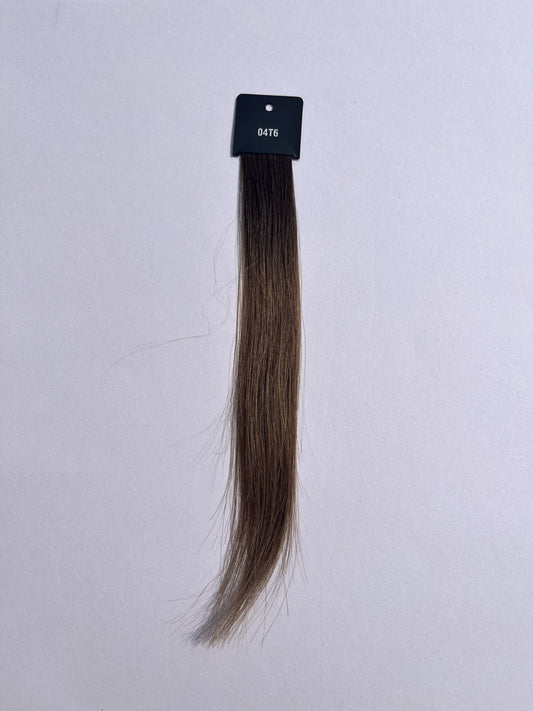 Dark Brown to Chestnut Brown (#04T6) Color swatch