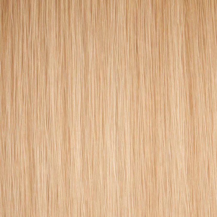 Light Natural Blonde (#20) Clip-in Extensions European Hair by Sam Conan ™