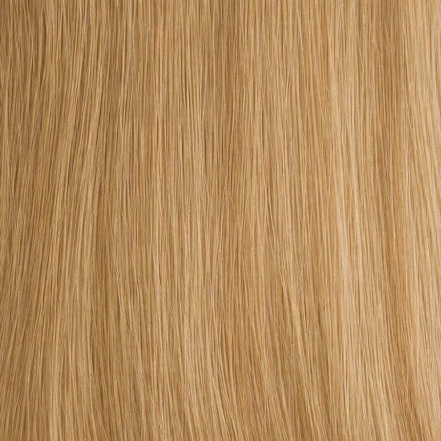 Neutral Dark Blonde (#9) Clip-in Extensions European Hair by Sam Conan ™