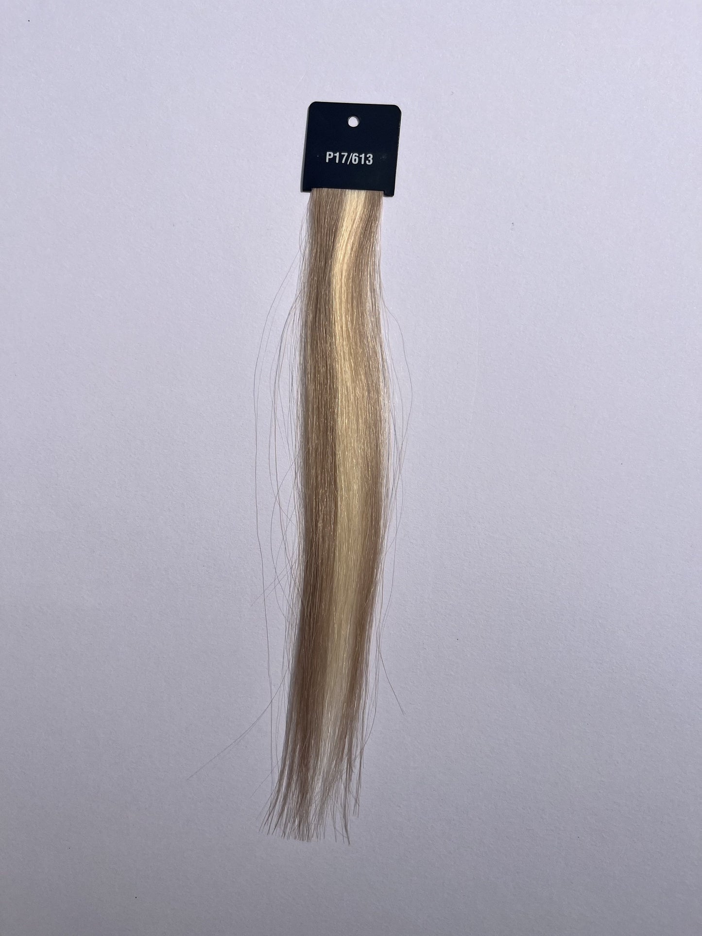 Ash Blonde to Platinum Blonde Mix (#P17/613) Clip-in Extensions – European Hair – Sam Conan™