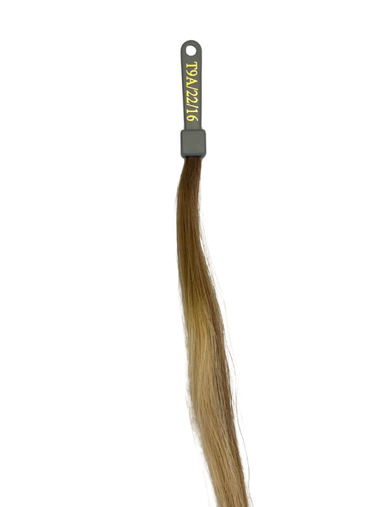 Natural Beige Blonde Ombre (#T9A/22/16) Color swatch
